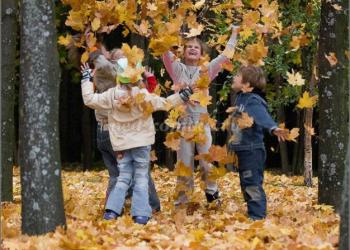 Игры осенью для детей младшей группы в детском саду Подвижная игра мы листочки средняя группа